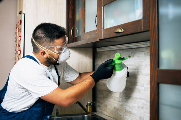 Reliable Claiborne, LA Pest Control Solutions