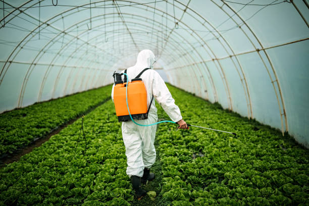 Best Pest Control Cost  in Ciborne, LA