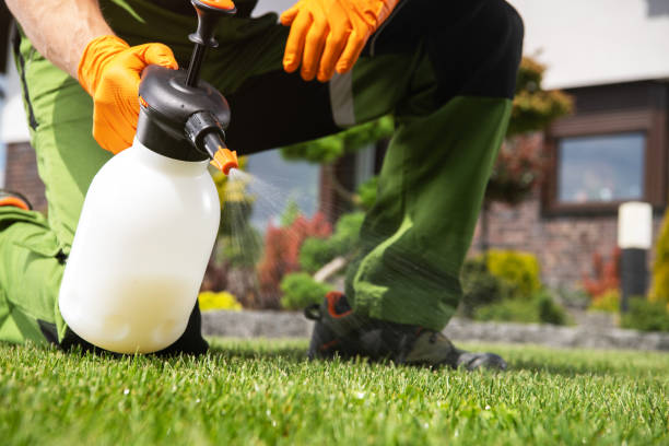 Best Wildlife Control Services  in Ciborne, LA