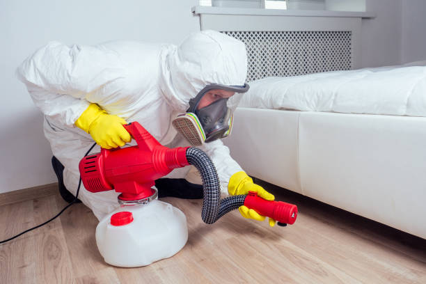 Best Insect Control  in Ciborne, LA