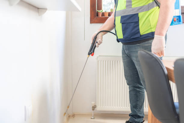 Best Pest Removal Services  in Ciborne, LA