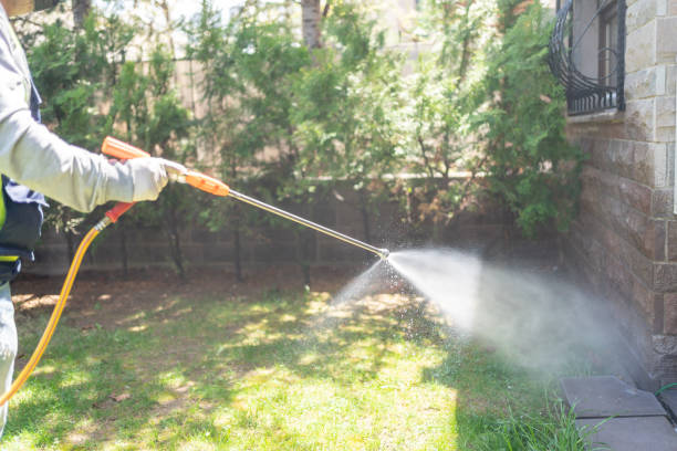 Best Residential Pest Control  in Ciborne, LA