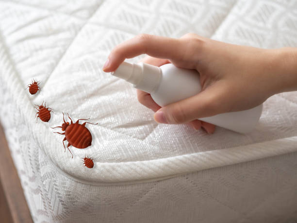 Flea Control Services in Claiborne, LA