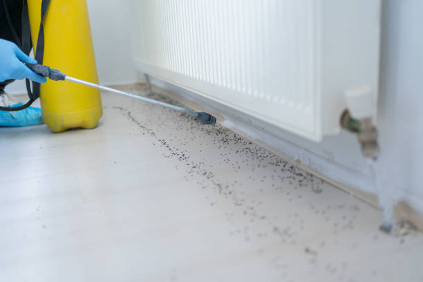 Claiborne, LA Pest Control Company